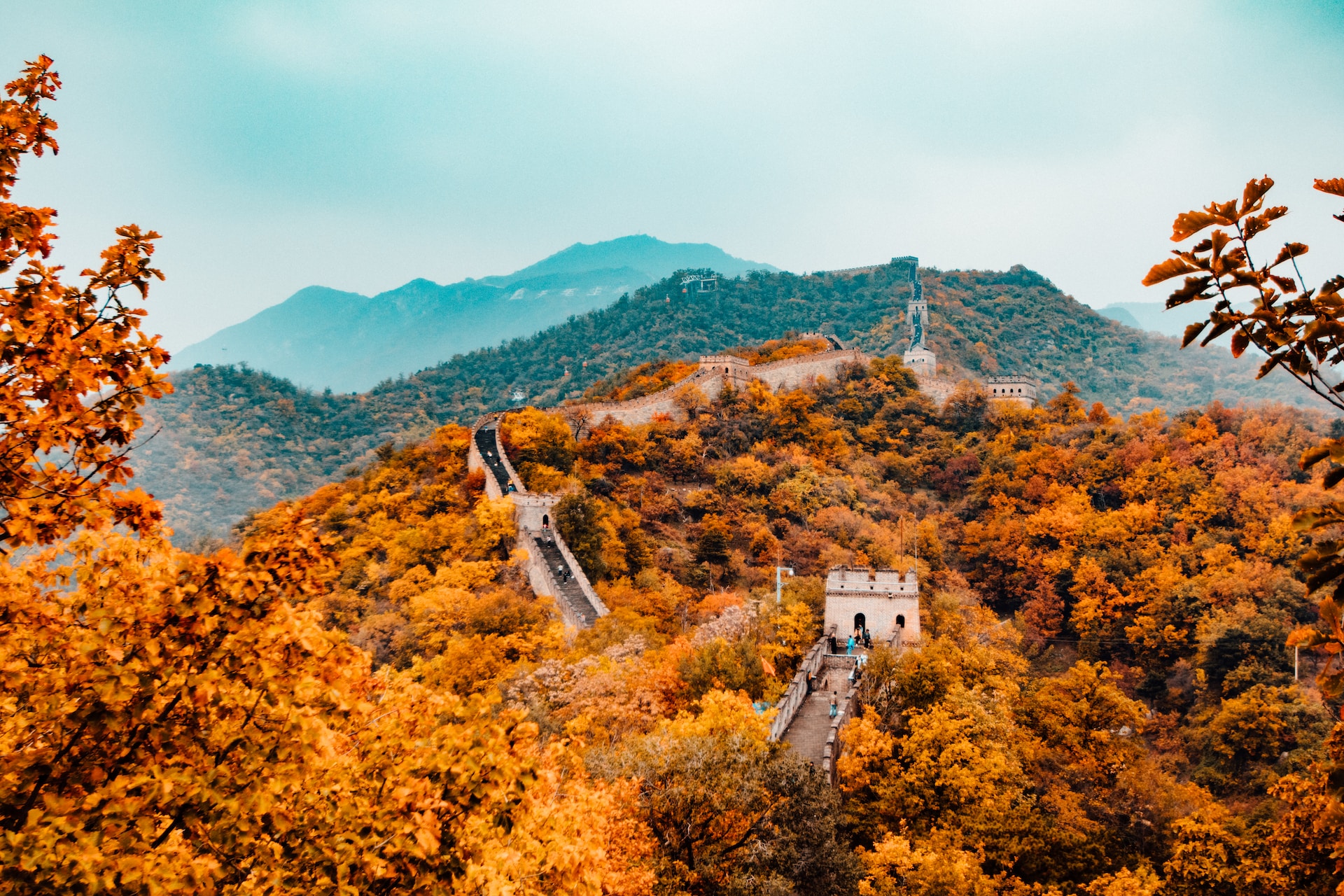 Viaggio in Cina 2024. La grande muraglia cinese, a Pechino, circondata da alberi con fogliame arancione e giallo.